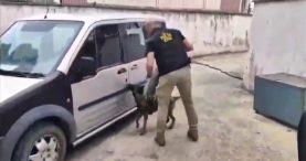 Balıkesir’de uyuşturucu operasyonu: 3 tutuklama