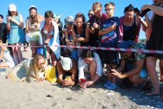 Çıralı’da son yuva açıldı; bu yıl 3 bin 458 yavru caretta caretta denizle buluştu