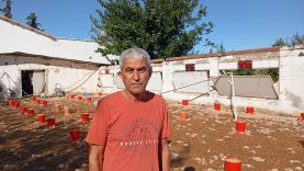 Adana’da hortumda zarar gören çiftliklerdeki 20 bin civciv öldü
