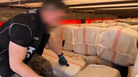 TIR’daki saman çuvallarından kaçak sigara ve telefon çıktı