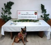 Nevşehir’de uyuşturucu operasyonu