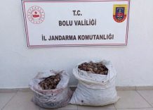 İzin belgesiz 60 kilo salyangoz ele geçirildi