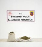 Diyarbakır’da bir haftada 97 bin 743 kök kenevir ele geçirildi