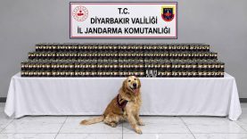 Diyarbakır’da kaçakçılık operasyonlarında 29 şüpheli hakkında işlem