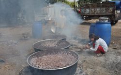 Gaziantep’te pekmez mesaisi