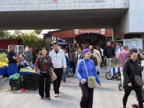Gurbetçi sezonunun sona erdiği Edirne’de, Bulgar turist hareketliliği başladı