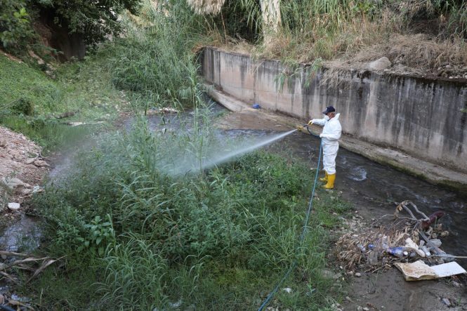 Hatay’da haşere ve vektör mücadelesi