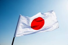 Japonya oturum izni ücretlerini yaklaşık yirmi kat artırdı
