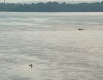 Kongo Nehri’nde iki tekne çarpıştı: 30 ölü