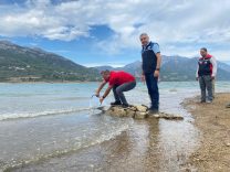 Kozan’da yavru sazanlar su kaynaklarıyla buluşturuldu