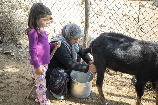 Mersinli konargöçerler enerjiye kavuşuyor