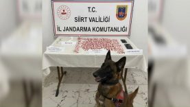 Narkotik köpeği ‘İnşa’ tepki verdi, 2 bin 650 uyuşturucu hap ele geçirildi