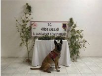 Niğde’de bir evde uyuşturucu ele geçirildi
