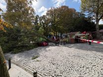 Şişli’de ağaç park halindeki otomobilin üzerine devrildi -2 / Fotoğraf eklendi