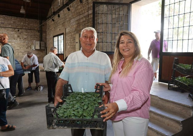 Urla’da üreticiye 120 bin adet kışlık sebze fidesi dağıtıldı