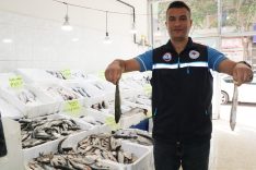 Van Gölü’nde inci kefalinin boyu, koruma çalışmalarıyla yüzde 30 uzadı