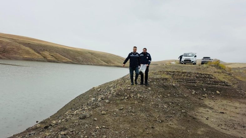 Van’da göletlere 700 bin sazan yavrusu bırakıldı