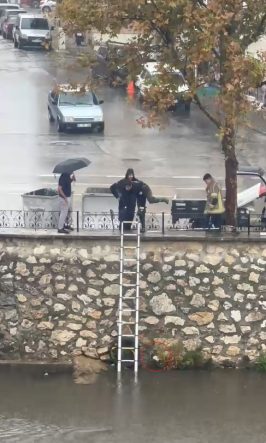 Yağmurda dereye sürüklenen yavru kediyi kurtarmak için zamanla yarıştılar