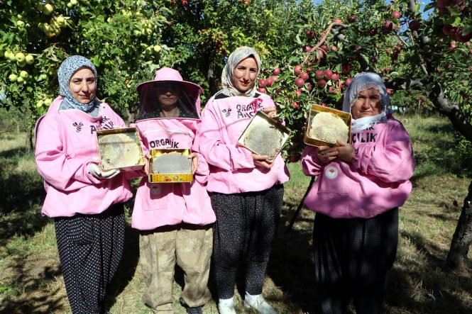 pembe-maskeli-kadin-aricilar-hasada-basladi-PCpzQLu8.jpg