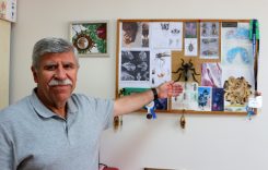profesor-kesfettigi-sinek-turune-olen-oglunun-adini-verdi-YzZWDPQC.jpg