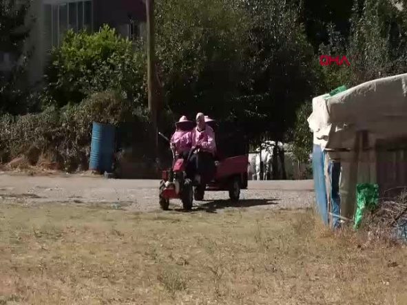 van-pembe-maskeli-kadin-aricilar-hasada-basladi-Yw42HI9X.jpg